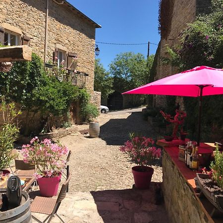 Domaine D'Alcapies Acomodação com café da manhã Saint-Jean-dʼAlcapiès Exterior foto