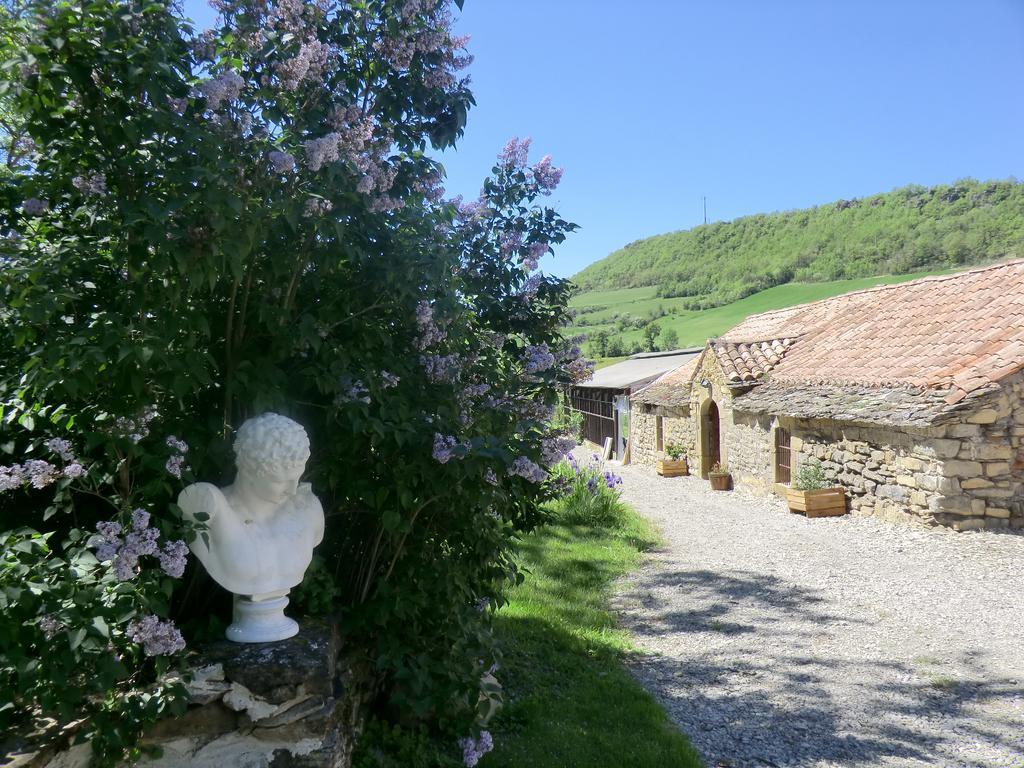 Domaine D'Alcapies Acomodação com café da manhã Saint-Jean-dʼAlcapiès Exterior foto