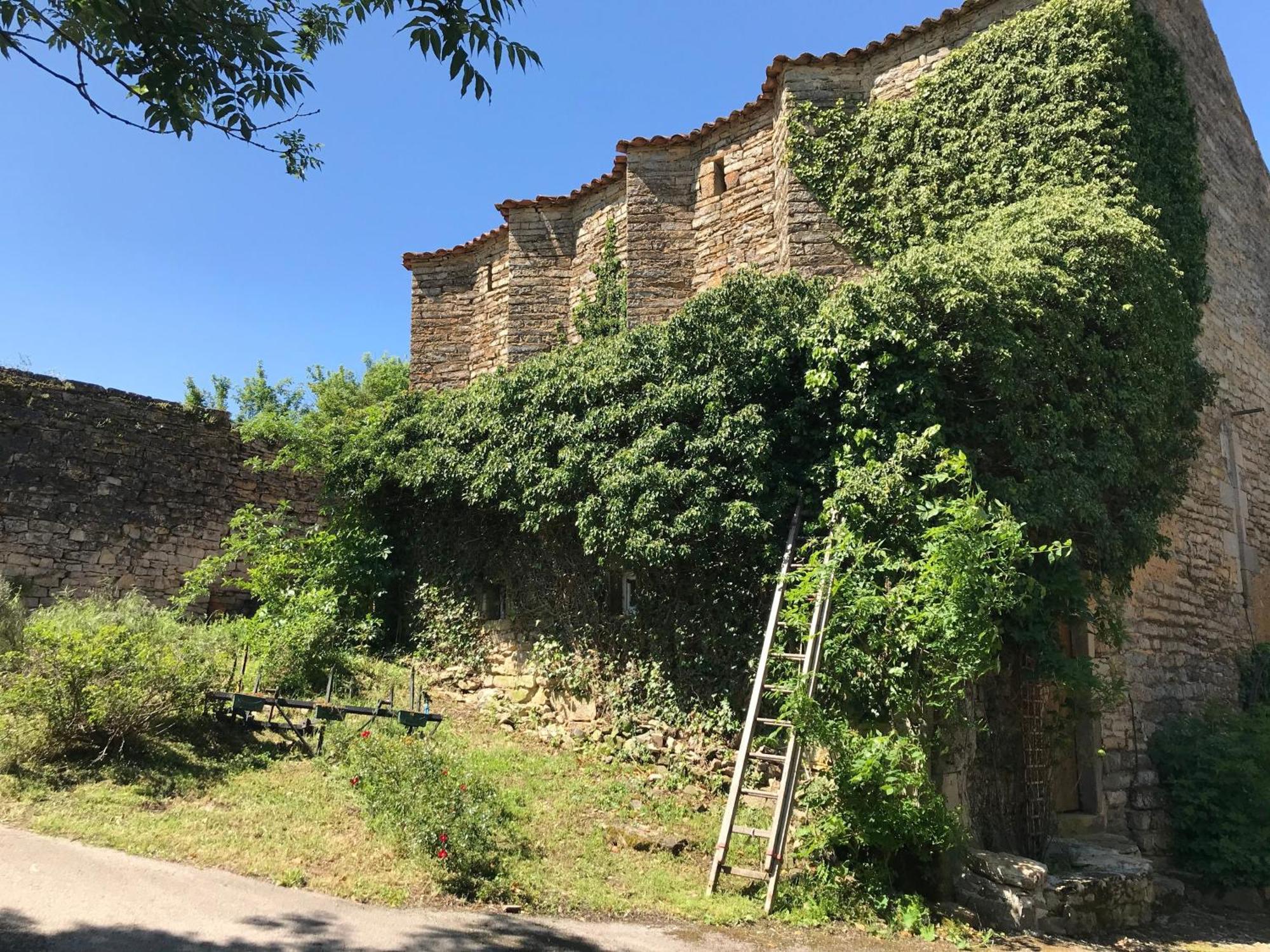 Domaine D'Alcapies Acomodação com café da manhã Saint-Jean-dʼAlcapiès Exterior foto